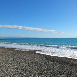 いごっそう酒屋は