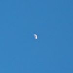 美味しくて嬉しくなるには？