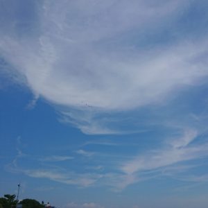 蒼い神経衝撃って？