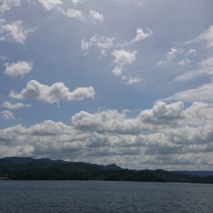 秋めいてきたね