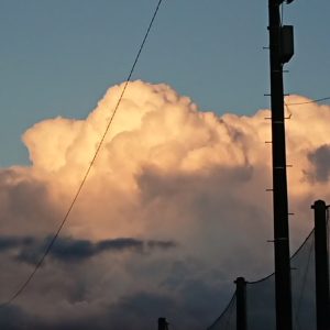 月下の美人と日本酒