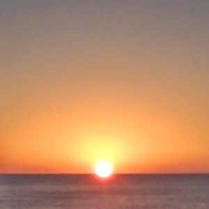 あけましておめでとうございます。日本酒 高知