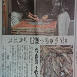 最盛期。日本酒 高知