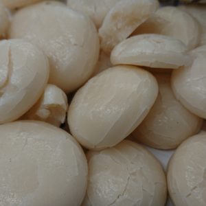 折り目節目。日本酒 高知