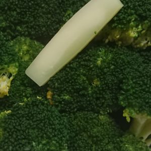 洋もいいことにする。日本酒 高知