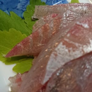 バラクーダファイト。日本酒 高知