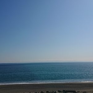 春散歩な日曜日。日本酒 高知