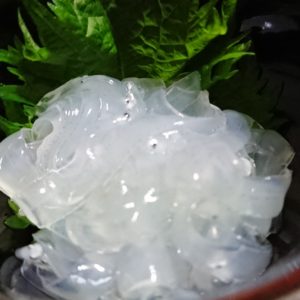 南が！南で！南の！日本酒 高知