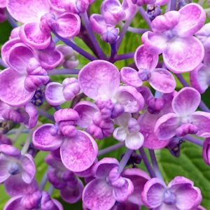 昼間が一番長い日。日本酒 高知