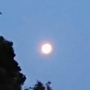 暑い時期には・・・。日本酒 高知