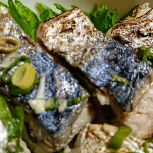 初めての出会い。日本酒 高知