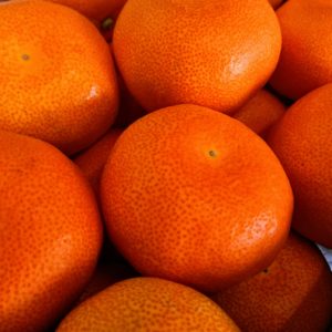 暑いぞ？日本酒 高知