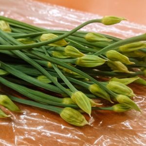 花もおいしい。日本酒 高知