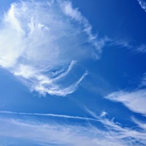 スタミナチャージ！日本酒 高知