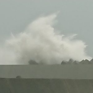 台風お見舞い申し上げます。日本酒 高知