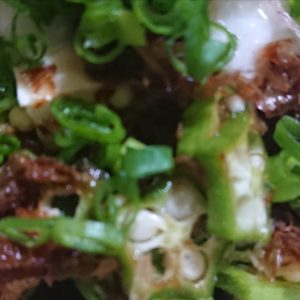 プランBで。日本酒 高知