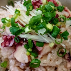 またやっちゃった。日本酒 高知