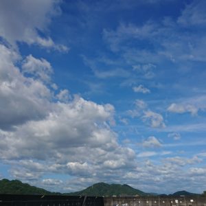 呑み拵え！日本酒 高知