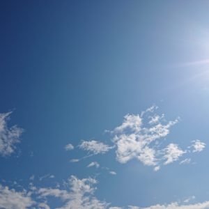 限定の秋。日本酒 高知