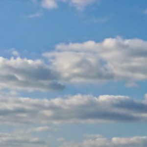 楽しけりゃいいさ😉🎵日本酒 高知