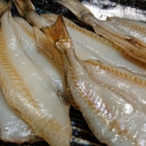 冬菜の走り。干し魚の季節。日本酒 高知