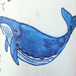 青い鯨は「生」のあかし。日本酒 高知