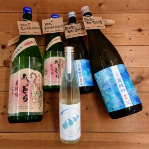 夏限定土佐酒が入荷したぜよ🌴日本酒 高知