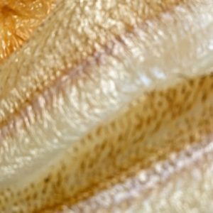 伝統の手法で作る酒の肴。日本酒 高知