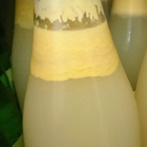 かじゅータップリ。土佐の酢蜜柑文化に酔え！日本酒 高知