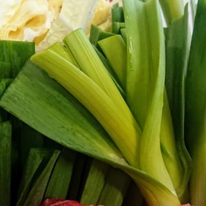 大好きなヤツが出始めたぜよ！日本酒 高知