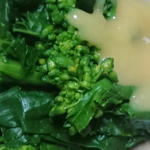 高知、桜の開花宣言！春風、春色、春の味 🍀 日本酒 高知