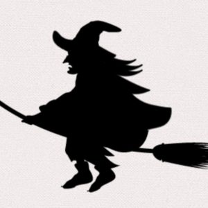 被弾💥魔女の一撃⚡そして、神のひとさし！日本酒 高知