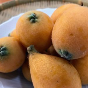 梅雨入り間近☔日本酒 高知