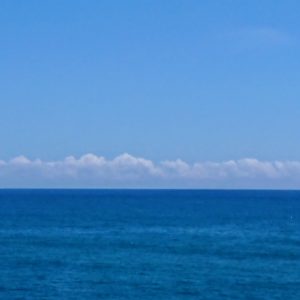 あー🎶夏🌺だねぇ🌴日本酒 高知