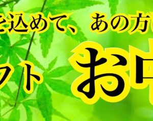 ちゃんと、土佐酒を紹介しろって？日本酒 高知
