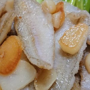 ひさしぶりの、太平洋だ🌊日本酒 高知