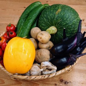 お山から来た宝石✨ 日本酒 高知