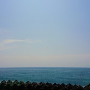 ドンドン進むぜよ✨日本酒 高知