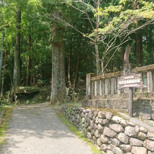 雲の上まで。日本酒 高知