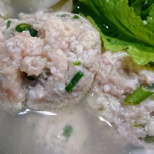 鶏にネギを背負わせてみる。日本酒 高知