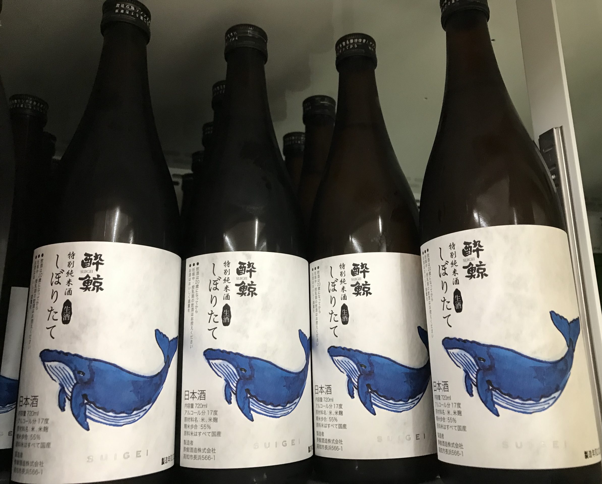 鯨のひと吹き🐳青い鯨は「生」のあかし！日本酒 高知 | 高知の日本酒