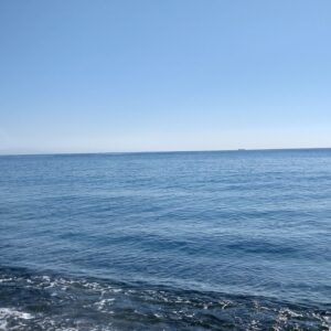 ありがとうございます！日本酒 高知 酒屋