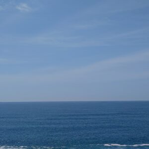 気分、爽快 🌊 日本酒 高知 酒屋