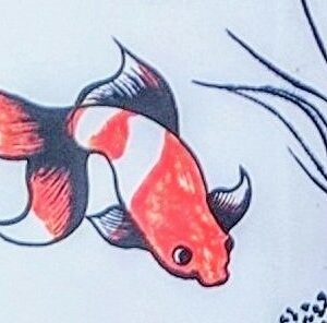 夏！美丈夫（びじょうふ）！！日本酒 高知 酒屋