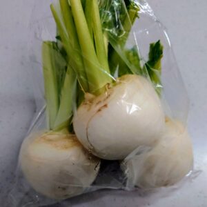 第１シーズンだから。日本酒 高知 酒屋