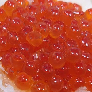 プッチプチぜよ！日本酒 高知 酒屋