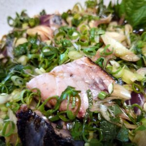 ザクザク！日本酒 高知 酒屋