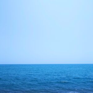 まみれる🌊日本酒 高知 酒屋