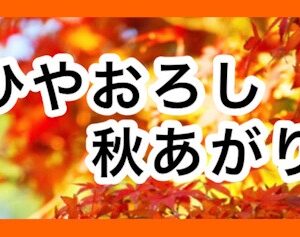 来た！来た！来ゆうぜよ！日本酒 高知 酒屋