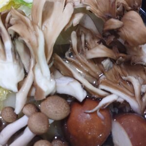 🍄🍄🍄日本酒 高知 酒屋